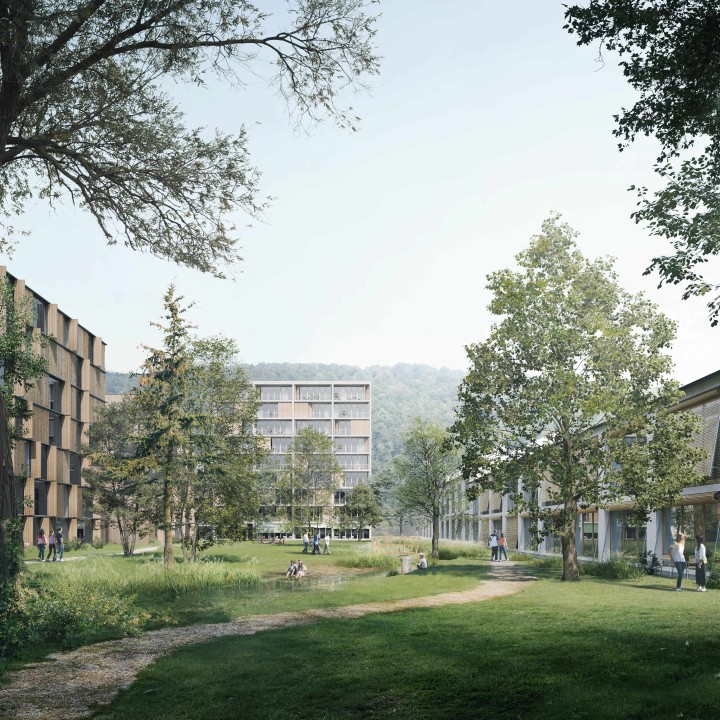 2024 Referenz Louelipark Immobilienentwicklung 2